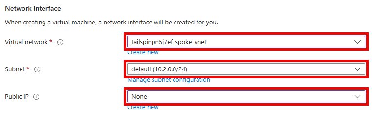 The Networking tab has the Network interface values selected for the Virtual network, Subnet, and Public IP to connect to the VM.
