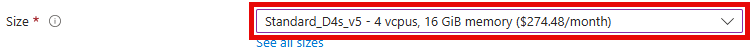 The Virtual Machine Size field is shown with the desired size selected.